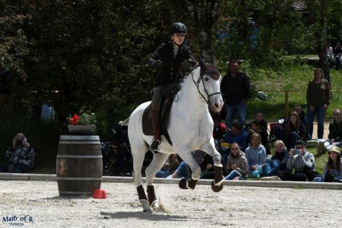 Working Equitation Lisa Ennsmann