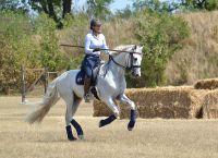 Nina Raidl © Working Equitation Austria